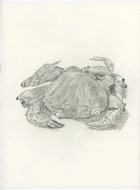 10-After-Durer-Crab-web.jpg