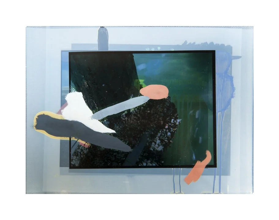  water cryptids (multi-dimensional) 