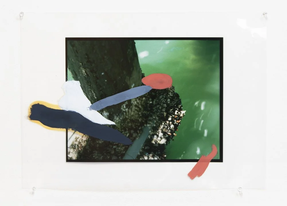  cryptids (infestation) 