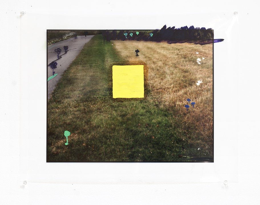  cryptids (the yellow square) 