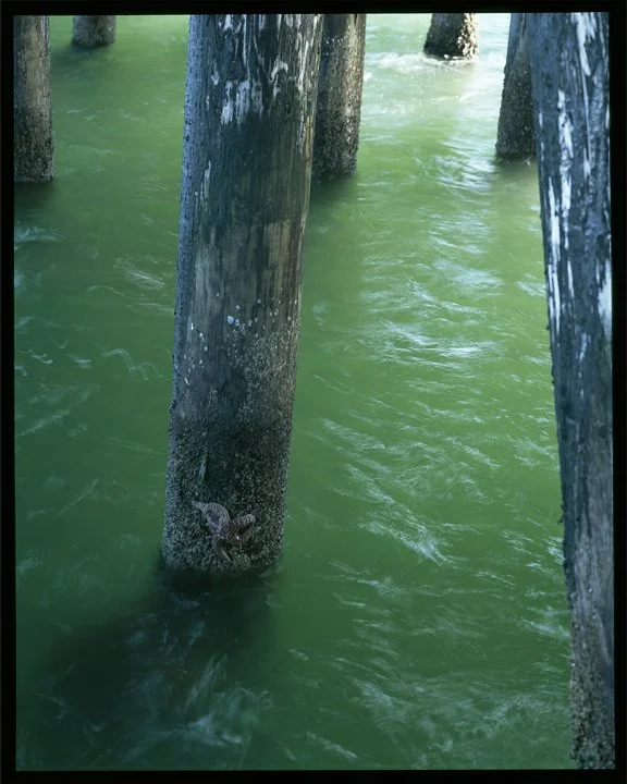 Under-Pier-1-slide-web.jpg