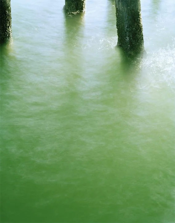 Under-Pier-1-web.jpg