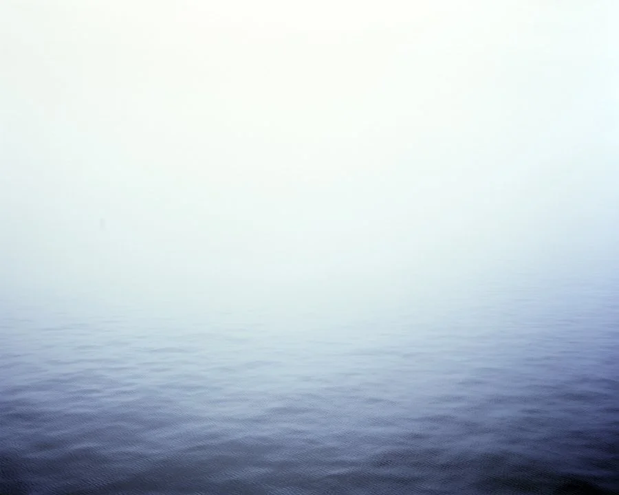 Fog-4-Jan-Web.jpg