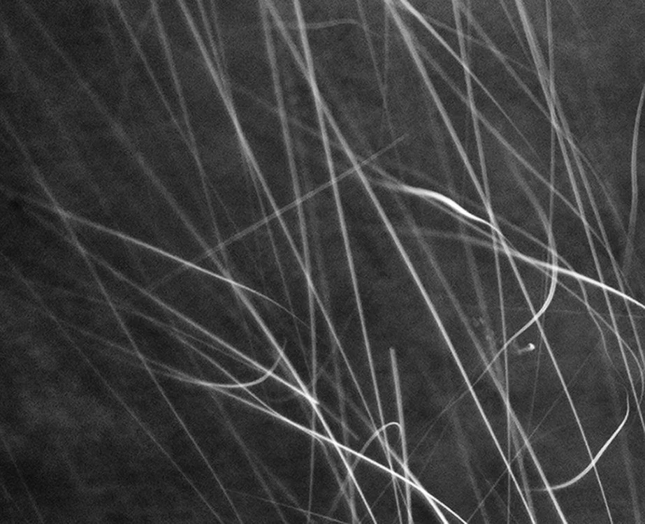 Rain Trails SmallRes.jpg