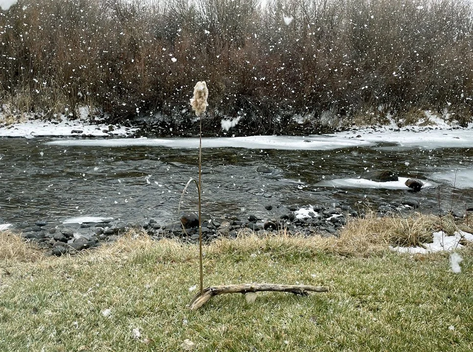  untitled  cat tail, river wood, rock 