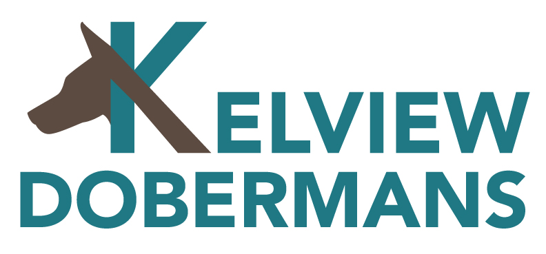 Kelview Dobermans