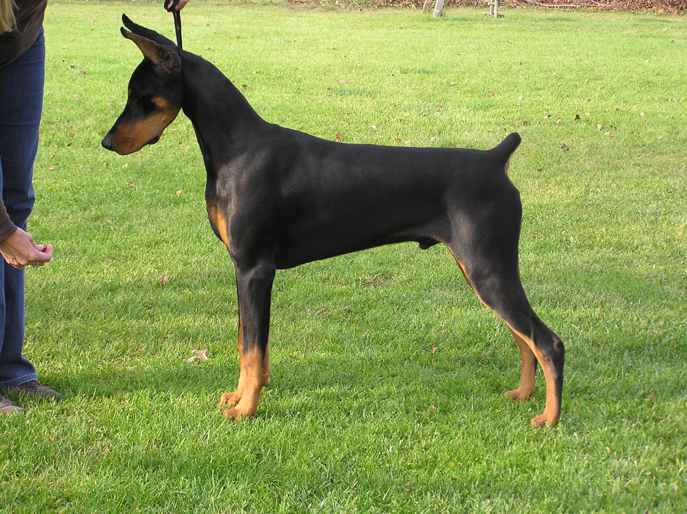 G litter-6 months 046.jpg