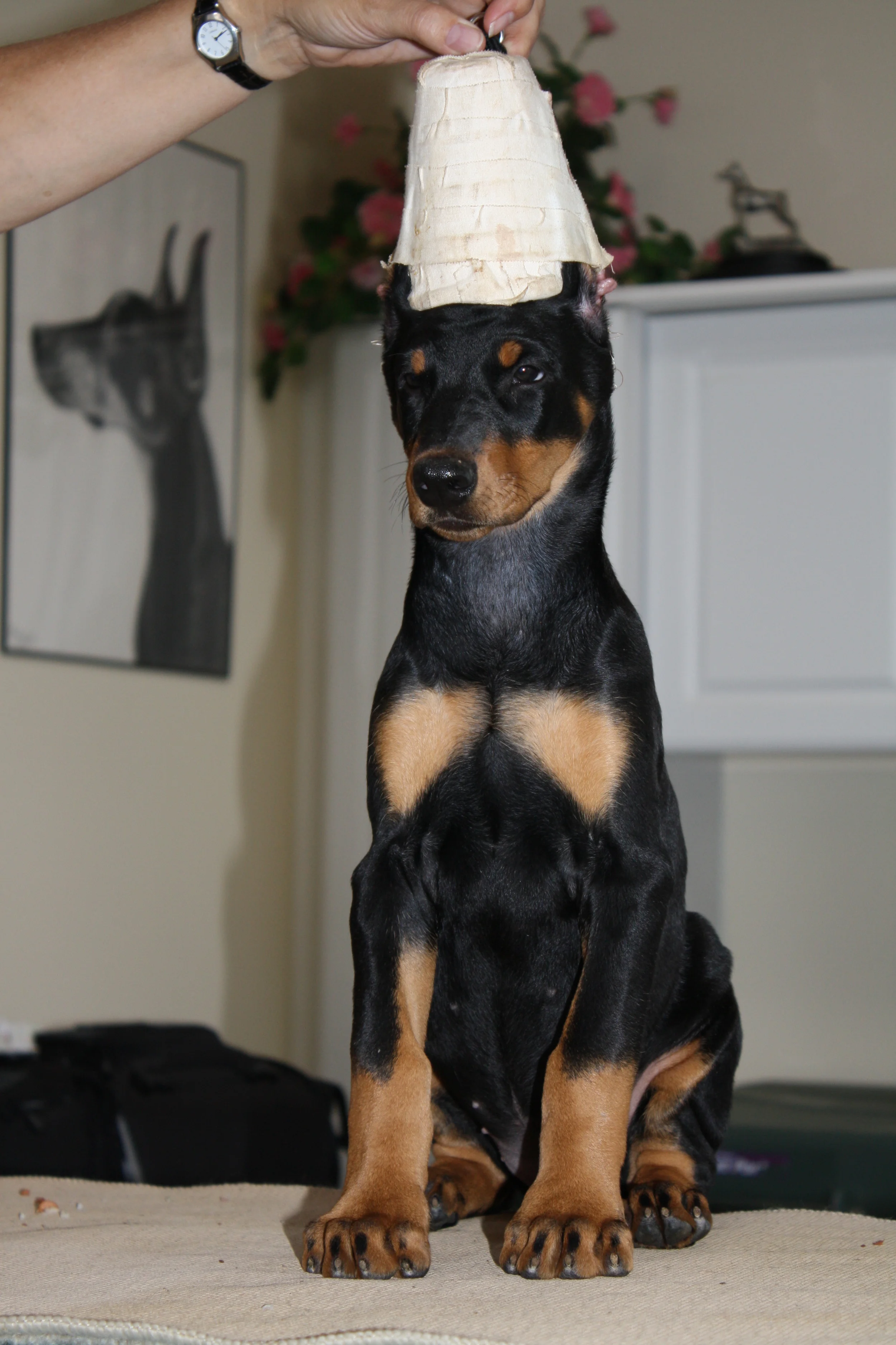 greg and audi 083.JPG