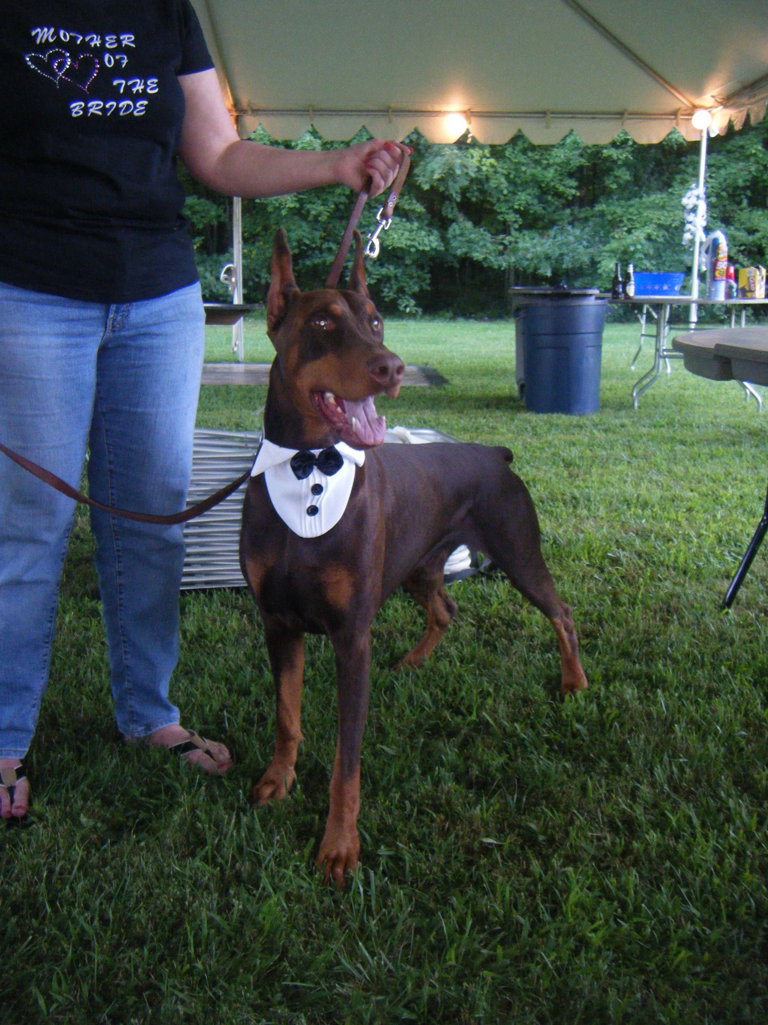 DSCF1625.JPG