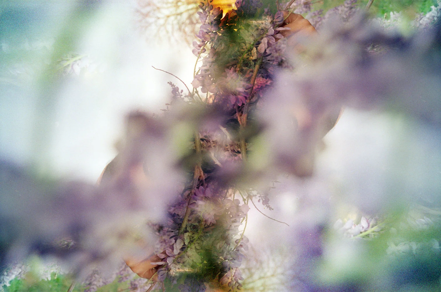 SPRING_020.jpg