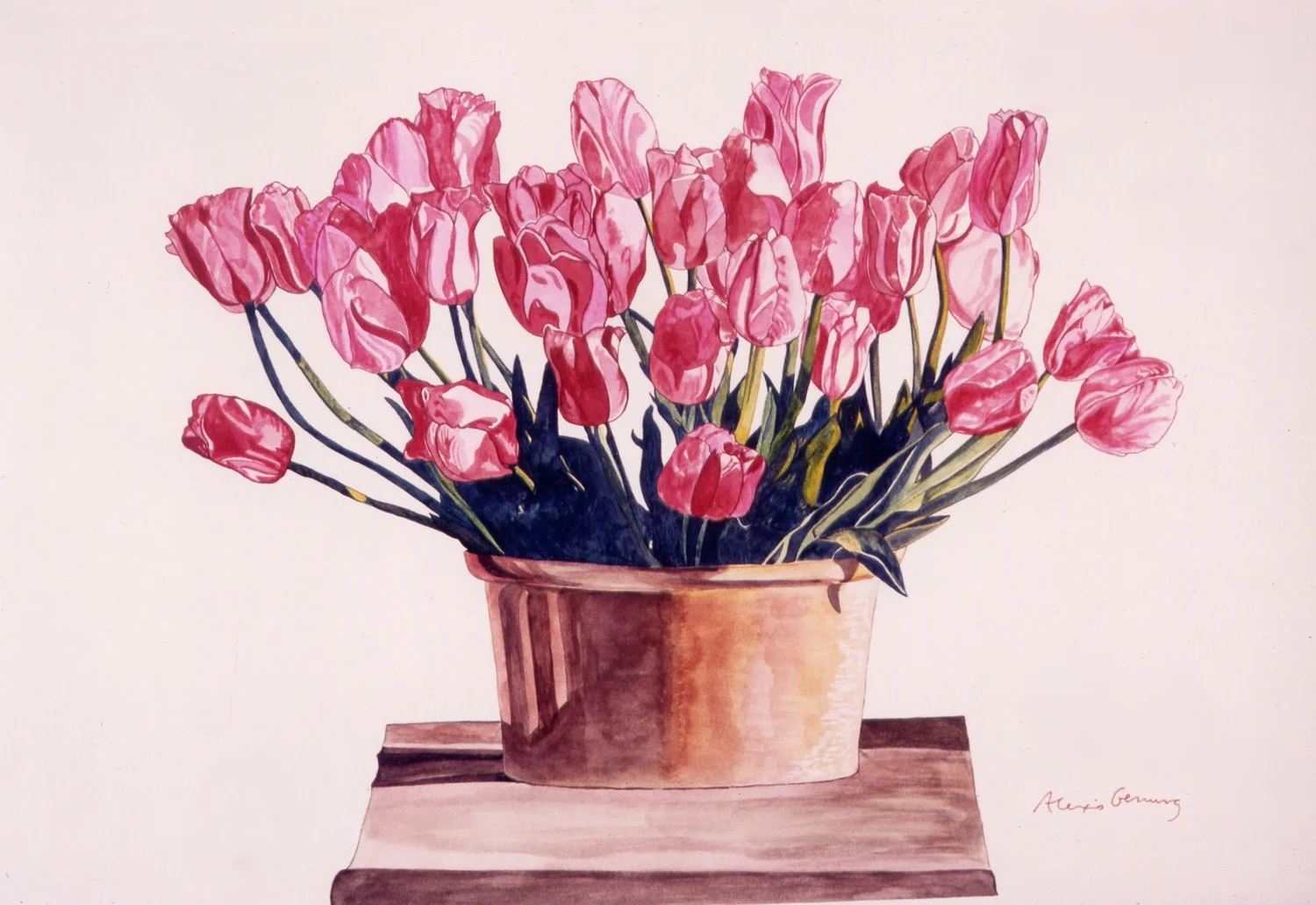 Wild Tulips