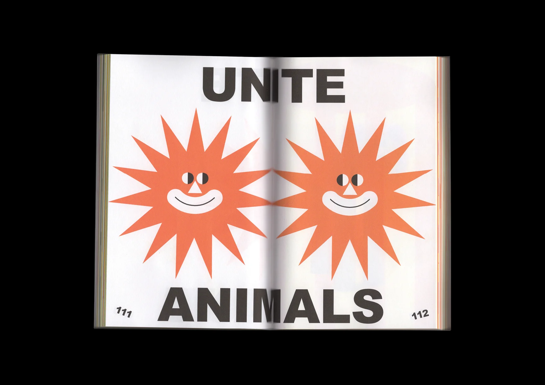 2019-Website-Book13.jpg