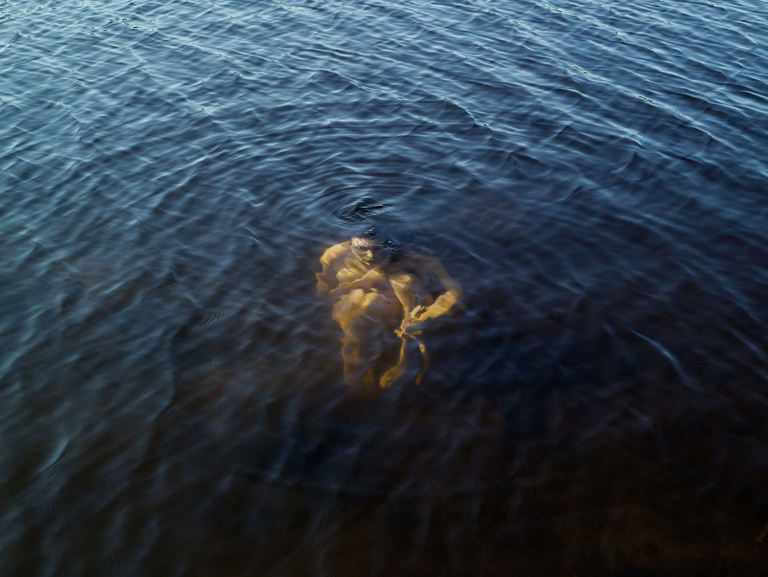 Untitled, 2010