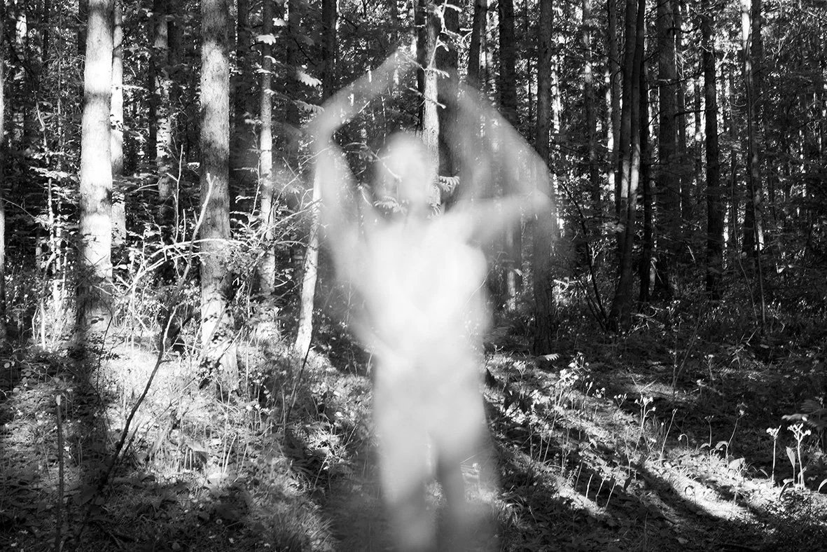 Hanne Larsen_chasm.jpg