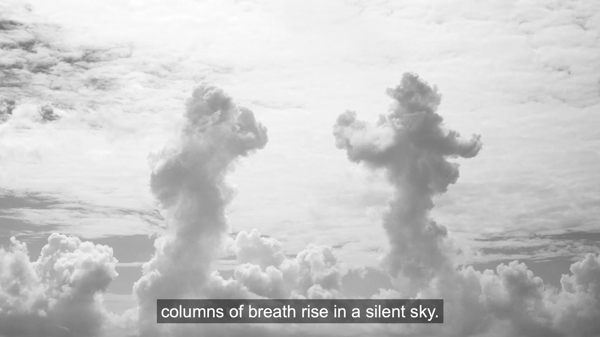 Summer Book, photography and poem