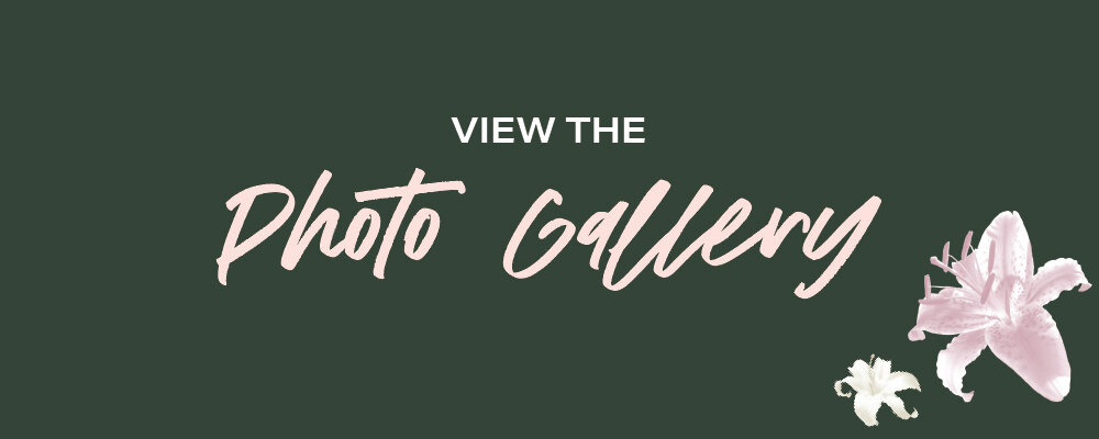 Photo-Gallery.jpg