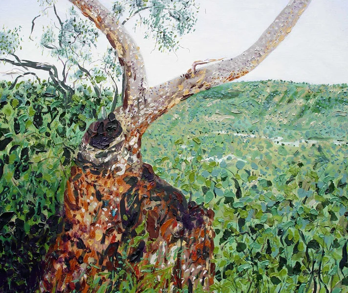 Look Out Over Valley