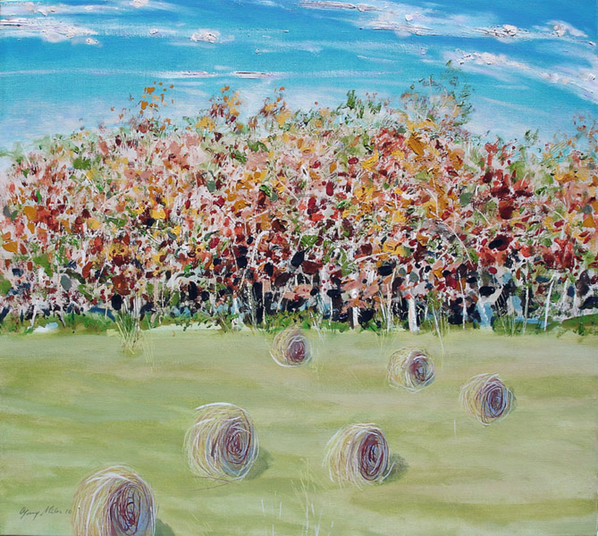 Hayfield