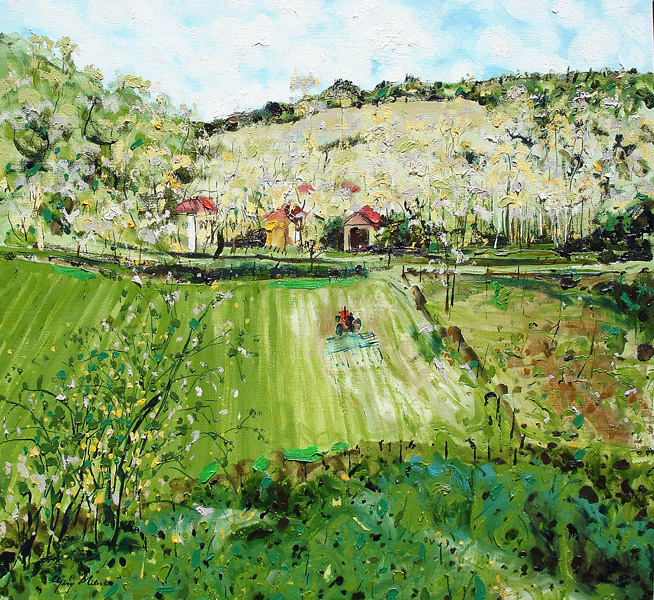 Wild Dog Corner Farm