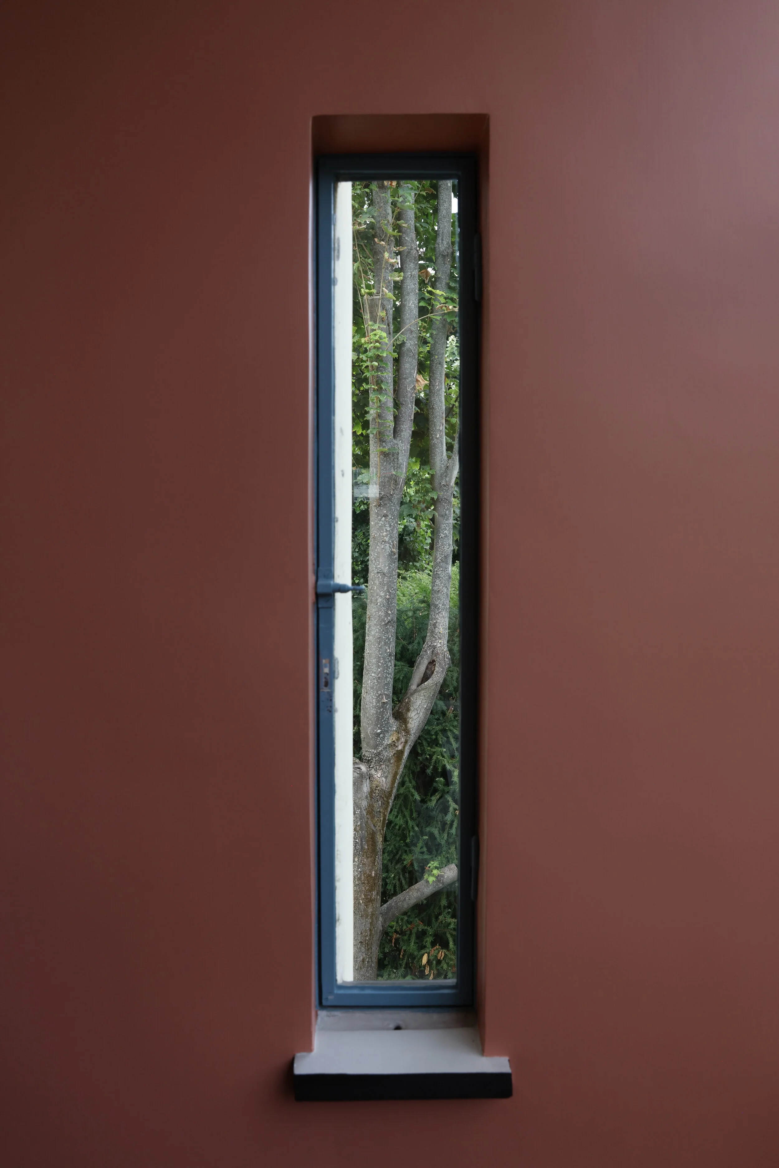 Someone's window Pierre Jeannetet.JPG