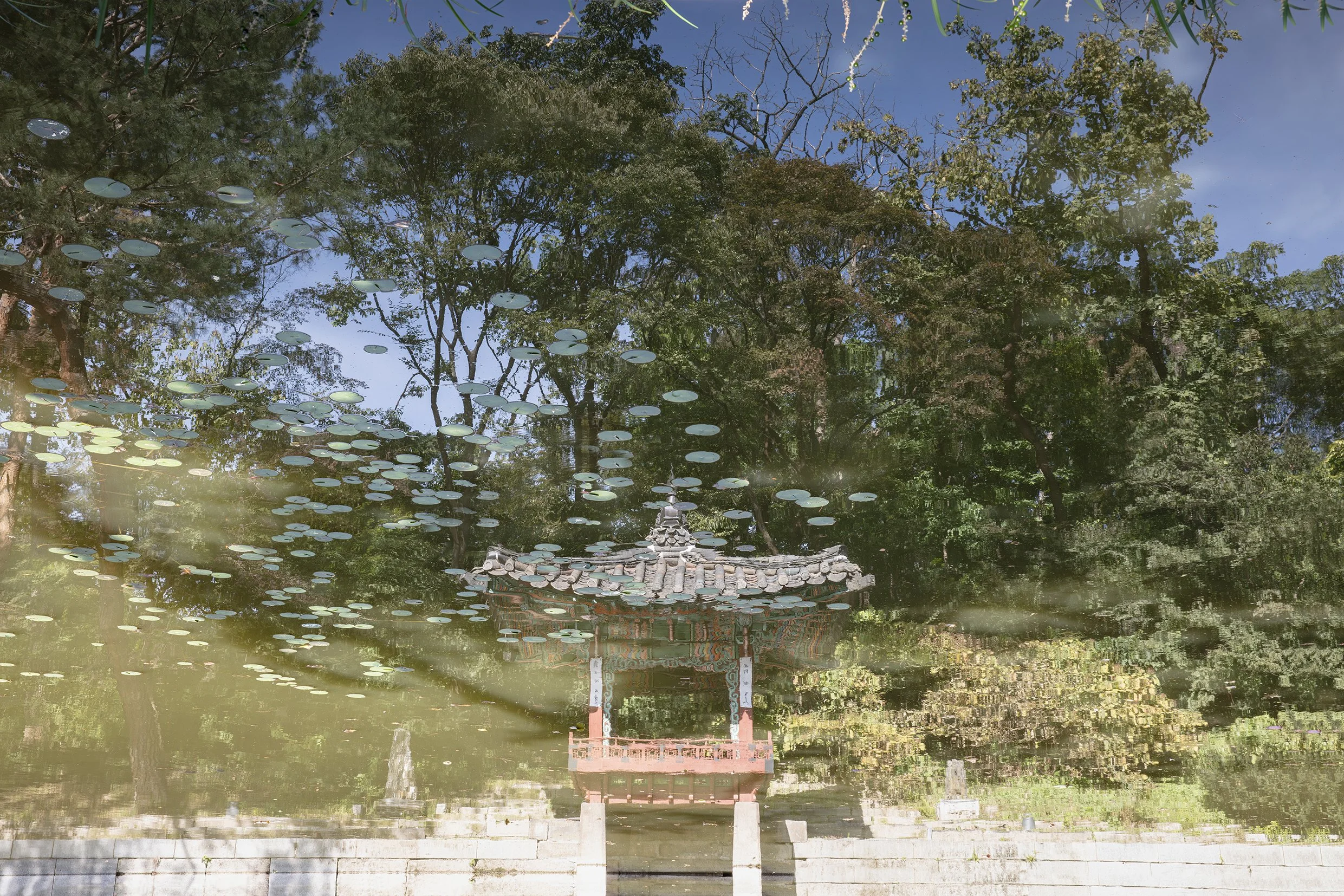 360A4311--------향상됨-NRs.jpg
