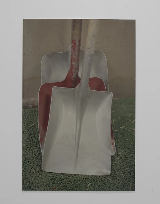 spades_kf01.jpg