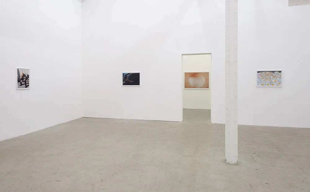 _SF16947.jpg