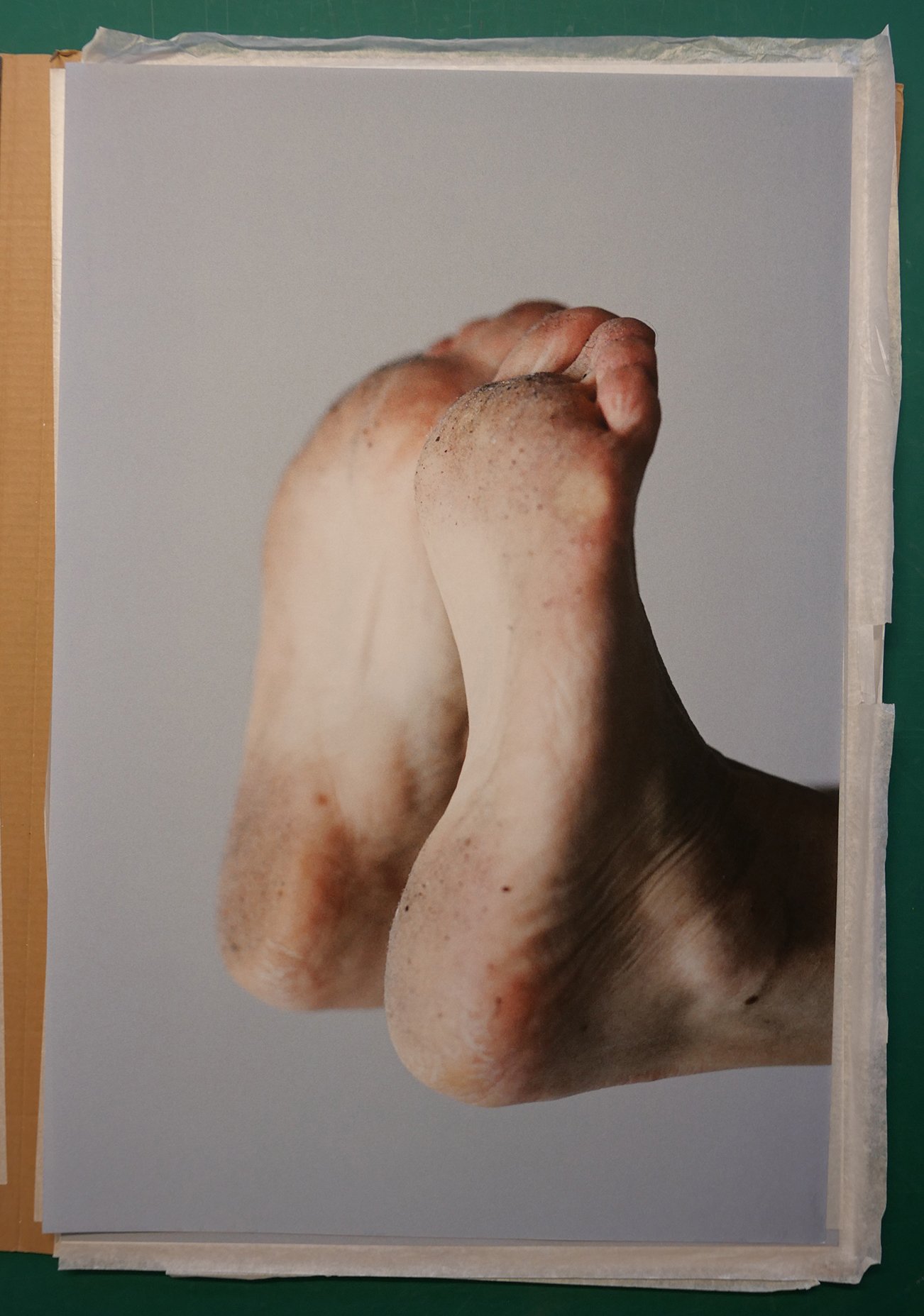 P1000780.JPG