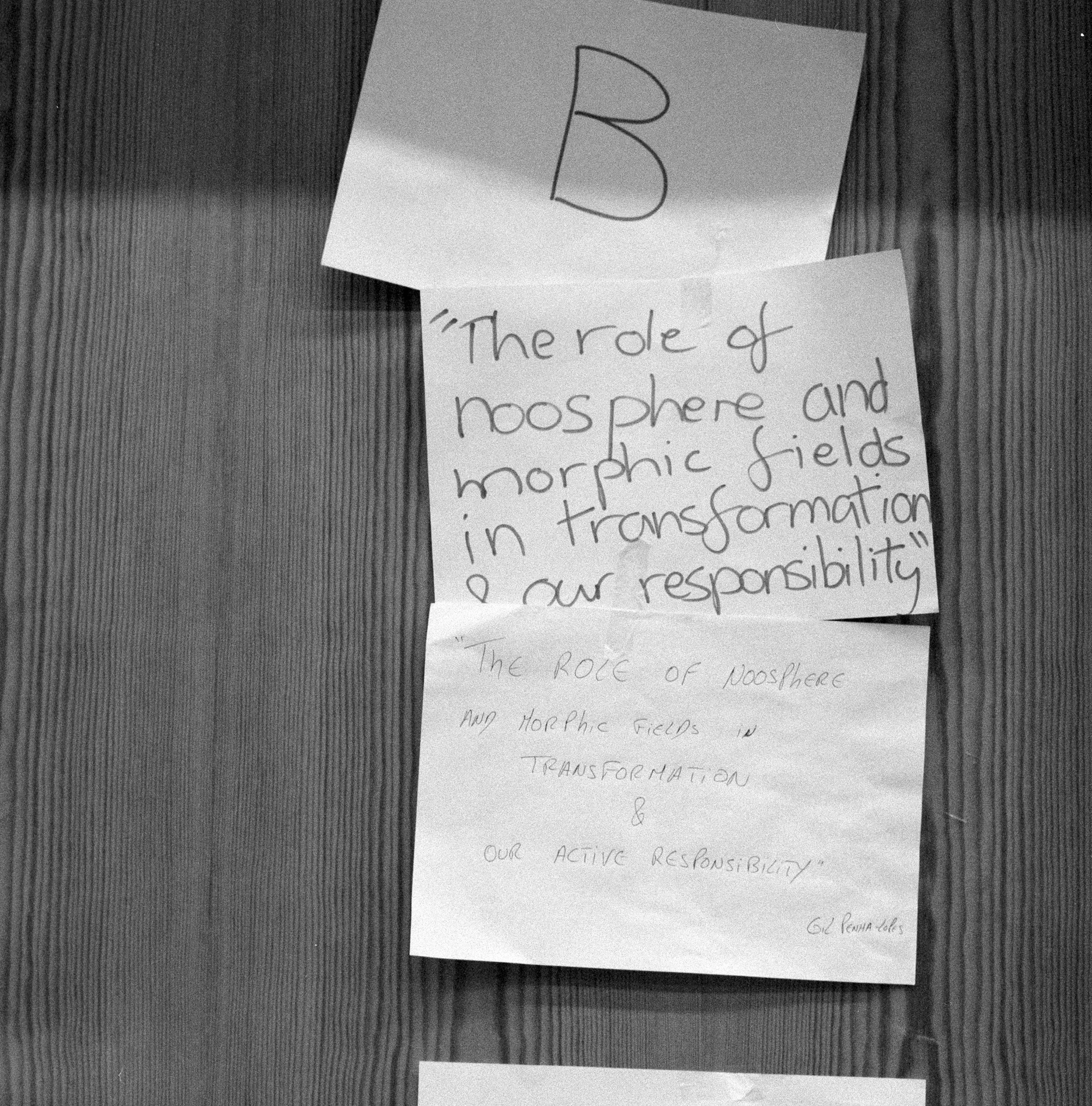 The rolle of noosphere and morphic fields in transformation and our responsibility