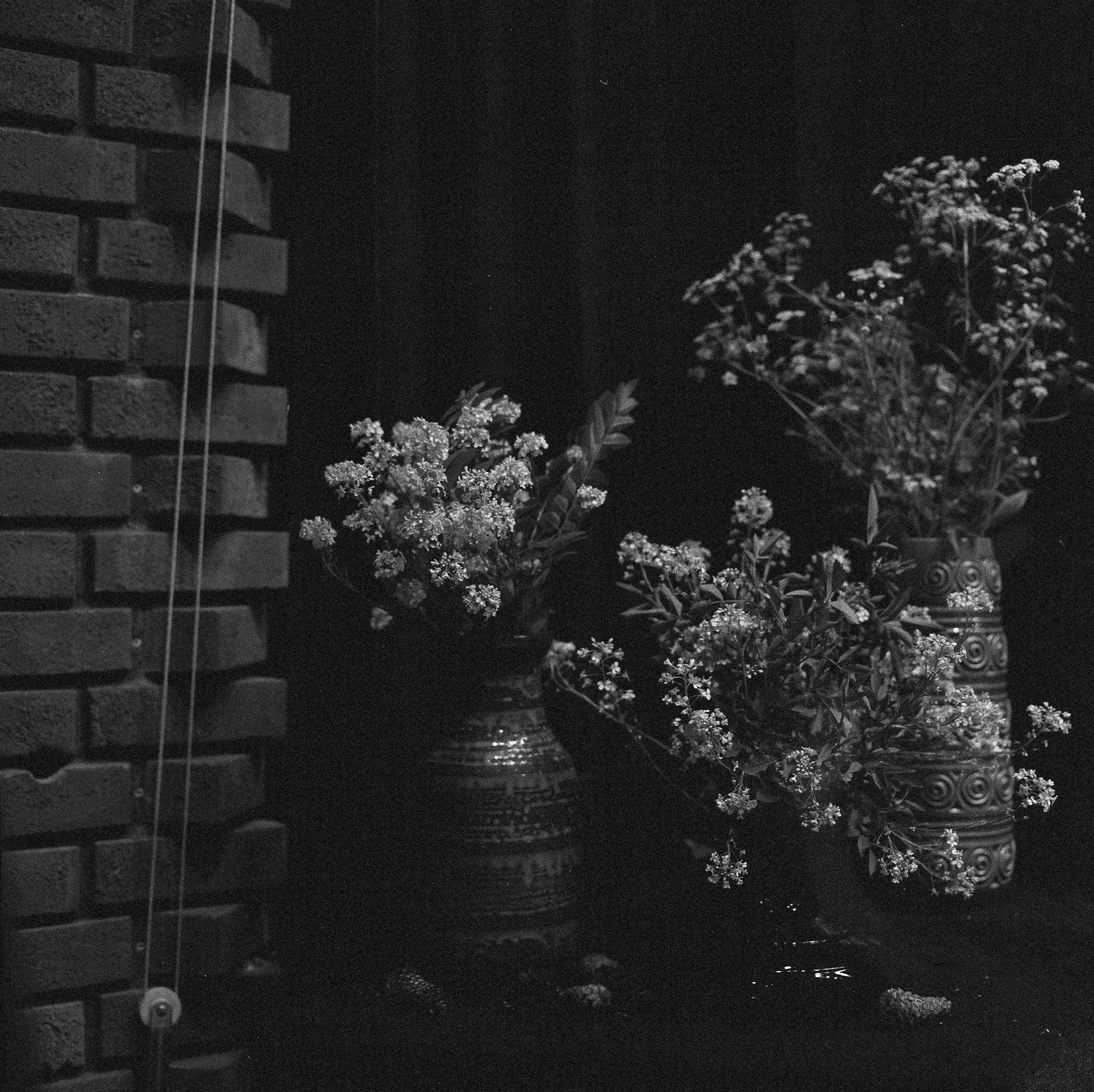 Georg Sverdrups Hus, UiO