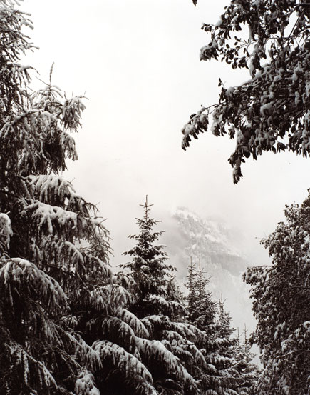 From the Blizard Collection-2.jpg