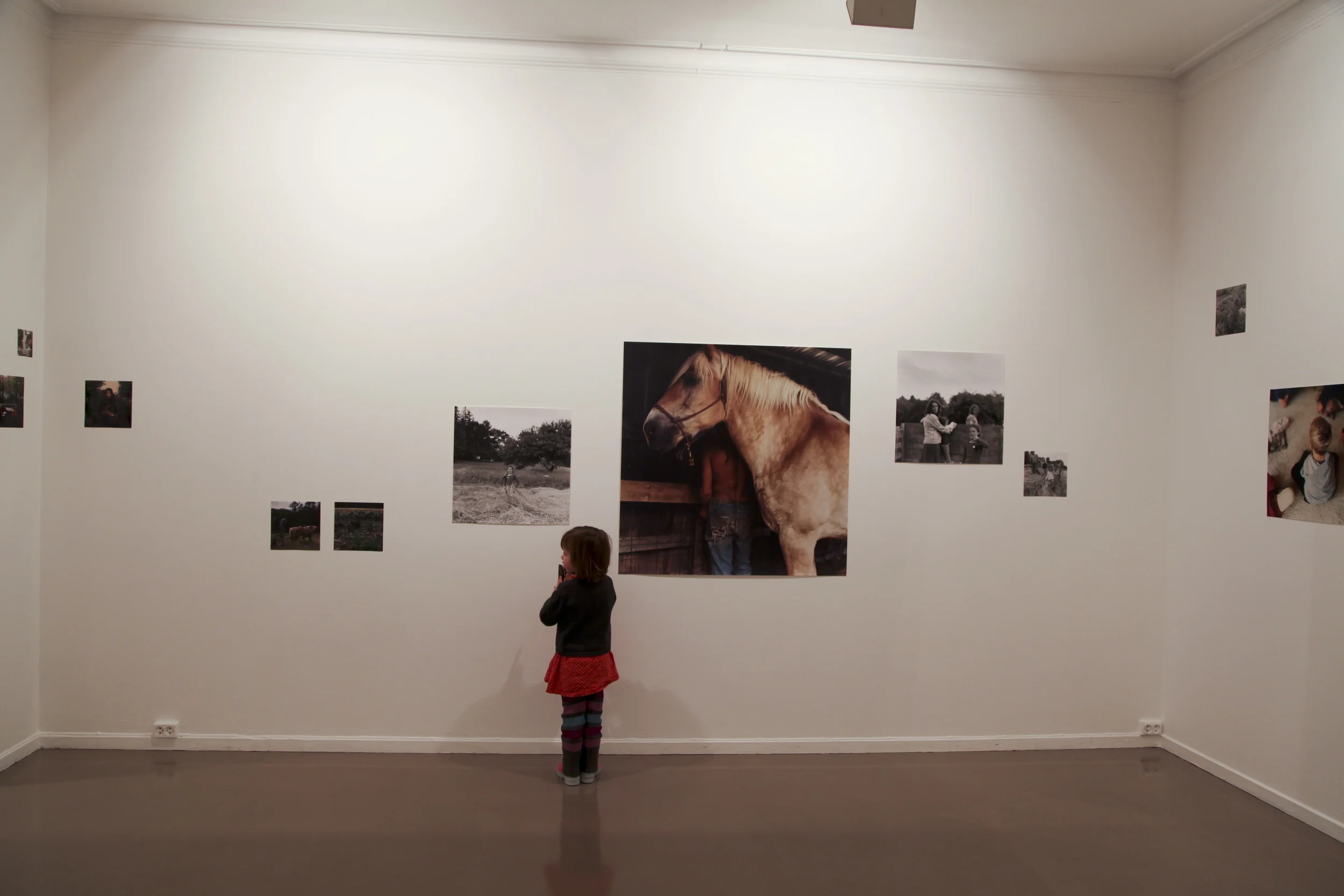 The Ideal State, Akershus Kunstsenter 2014