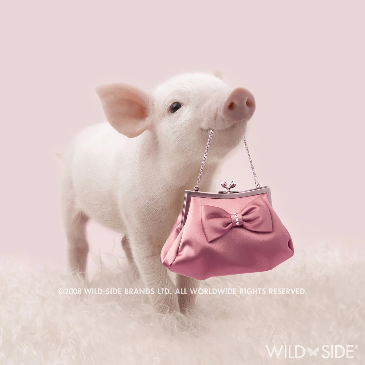 Collection: In The Pink! Code: WS-PG-0101