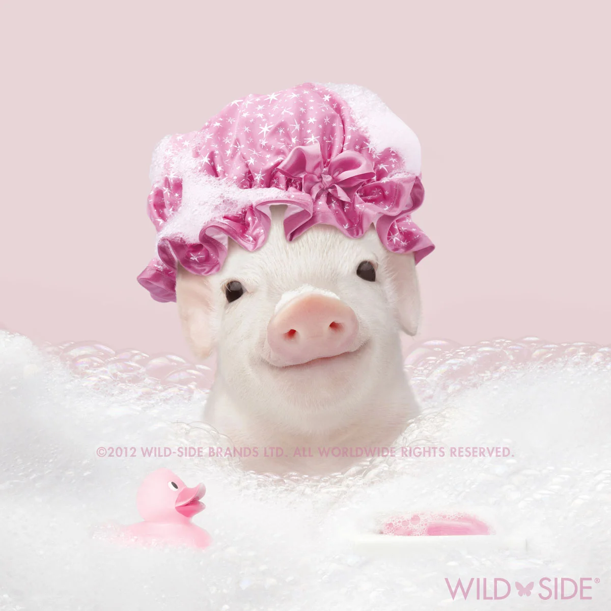 Collection: In The Pink! Code: WS-PG-0503