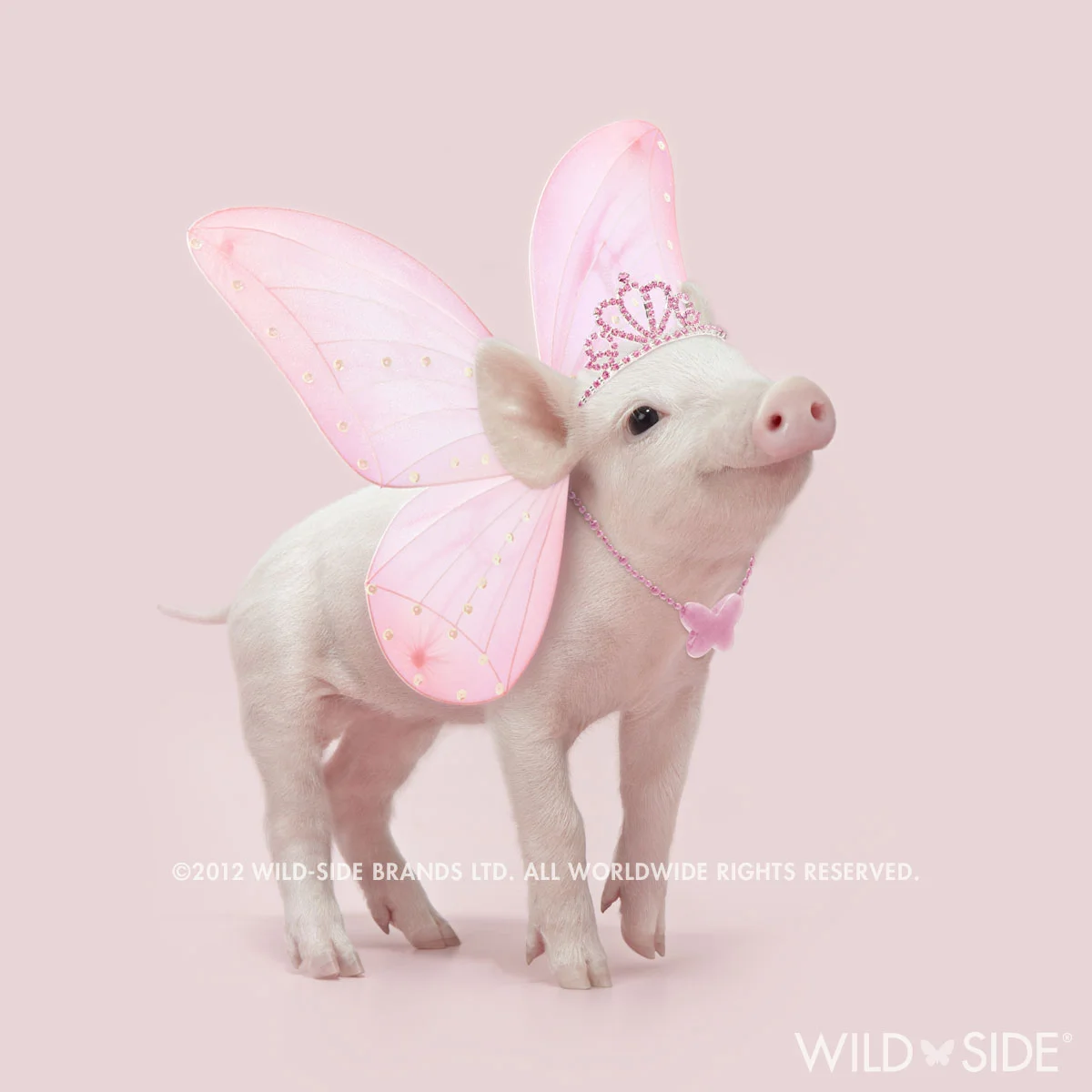 Collection: In The Pink! Code: WS-PG-0507