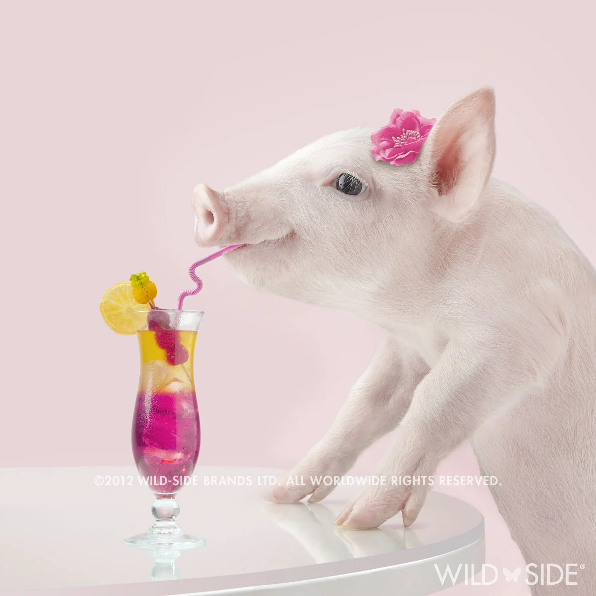 Collection: In The Pink! Code: WS-PG-0516