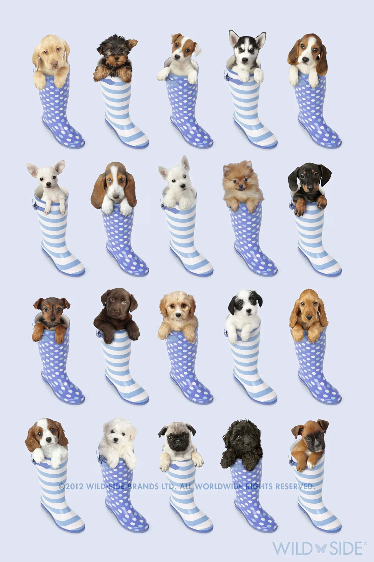 Collection: Assorted Animals Code: WS-DG-0401-B