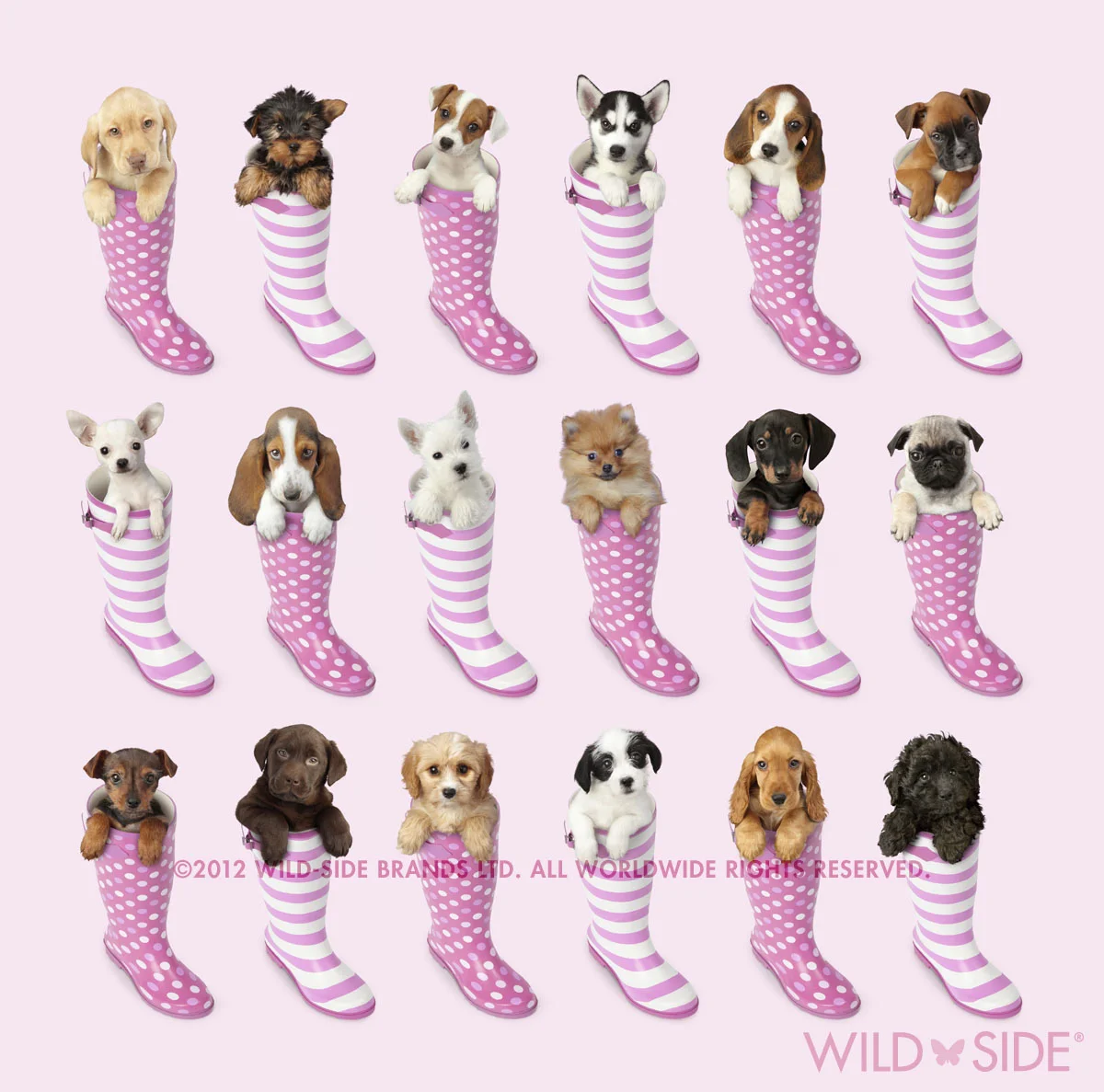 Collection: Assorted Animals Code: WS-DG-0402-P