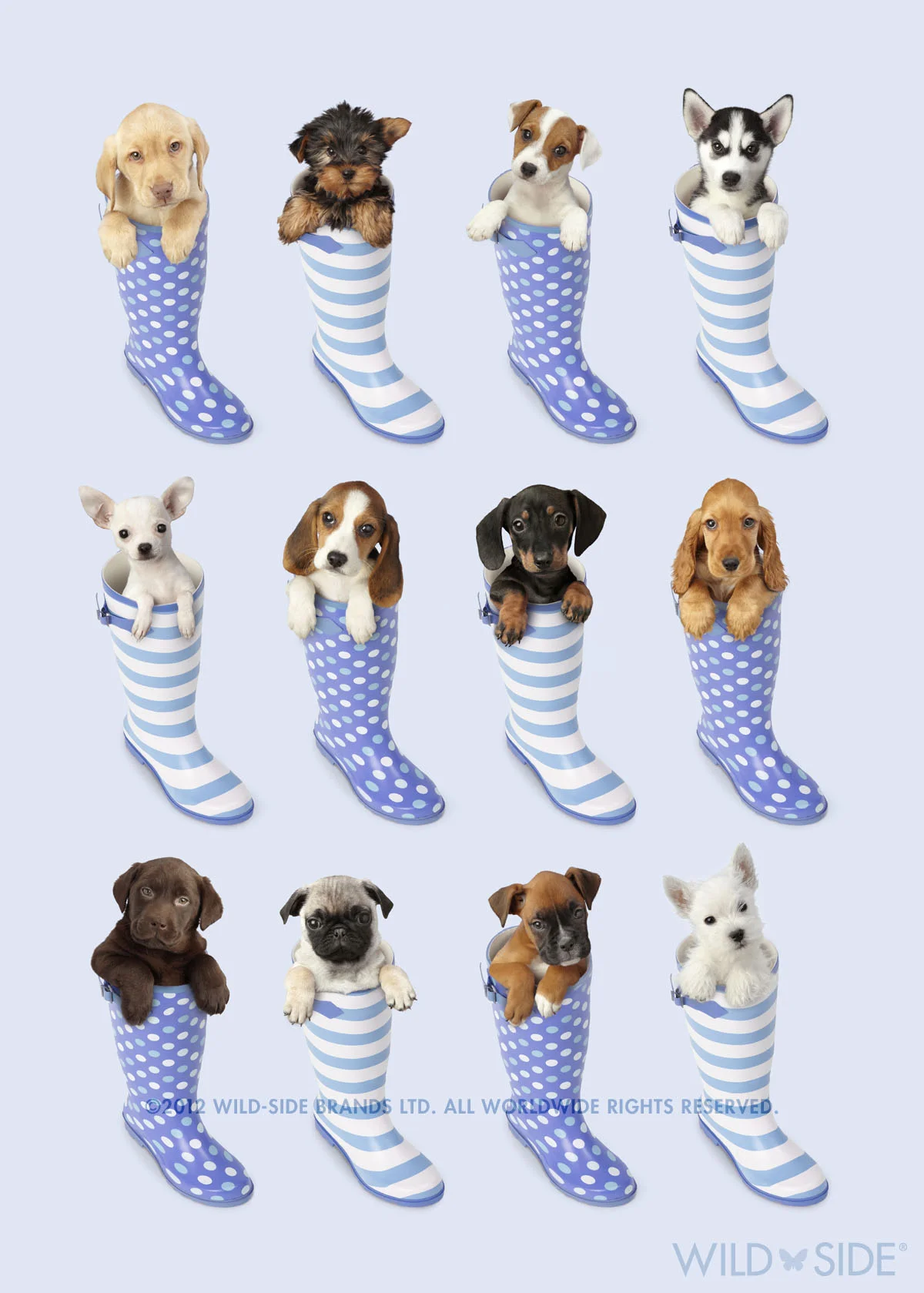 Collection: Assorted Animals Code: WS-DG-0403-B
