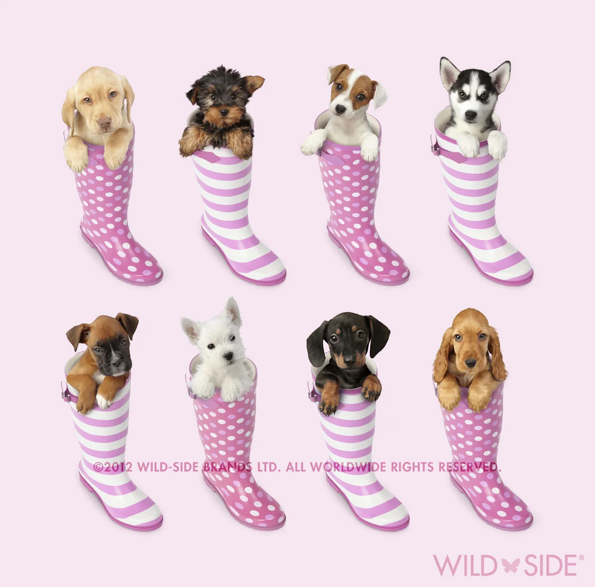 Collection: Assorted Animals Code: WS-DG-0404-P