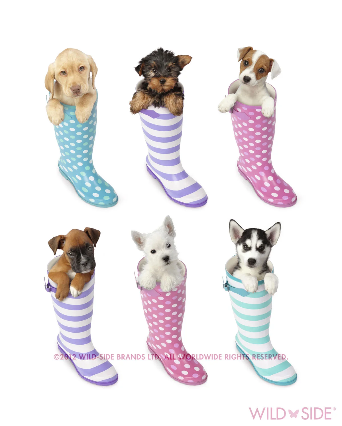 Collection: Assorted Animals Code: WS-DG-0405-W