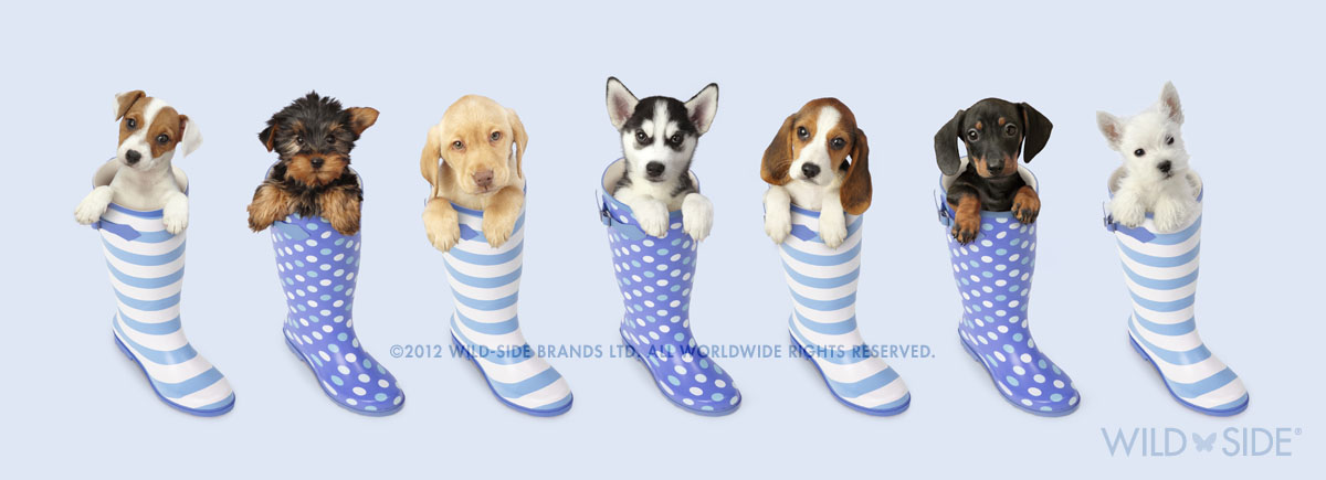 Collection: Assorted Animals Code: WS-DG-0406-B