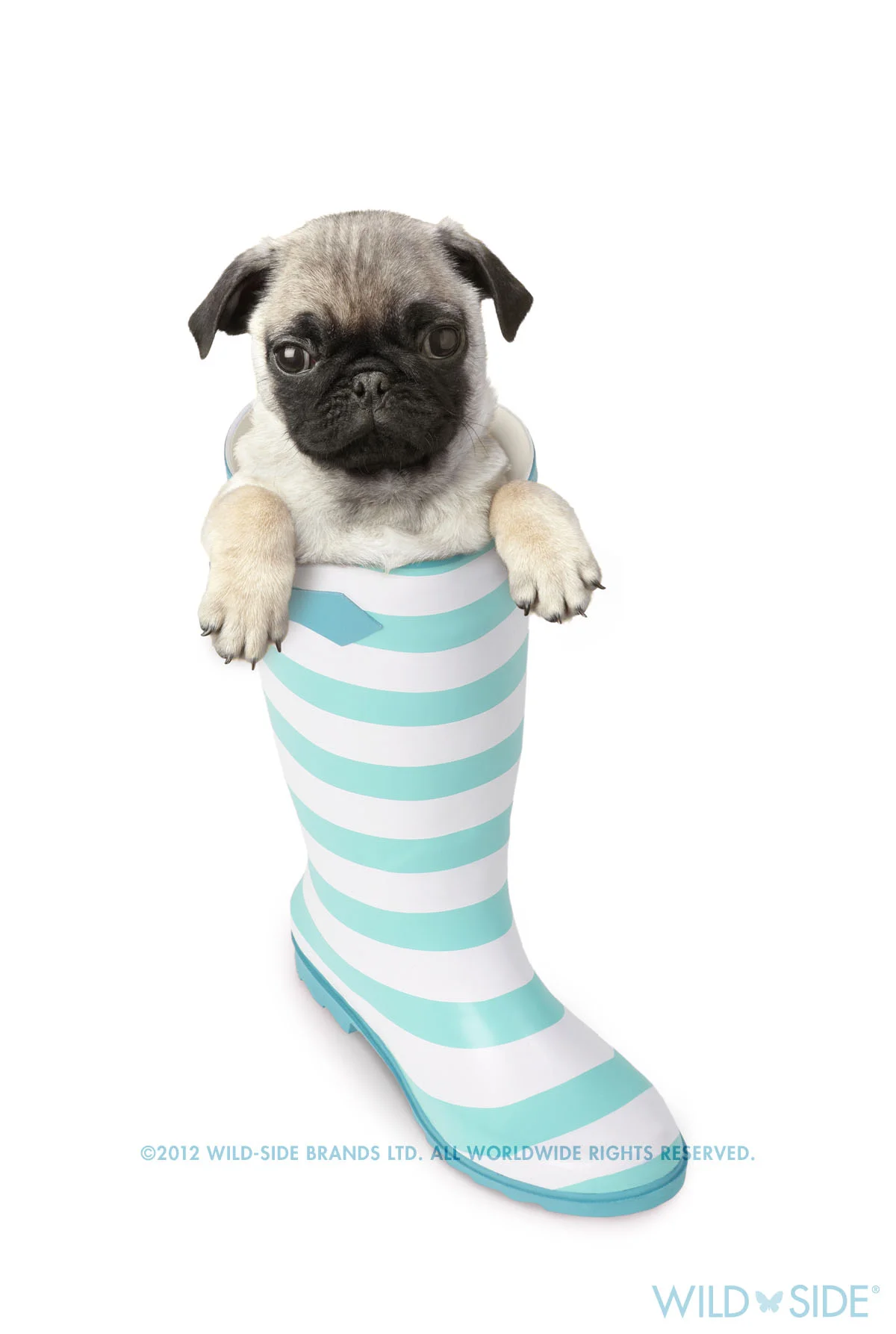 Collection: Assorted Animals Code: WS-DG-0408-W