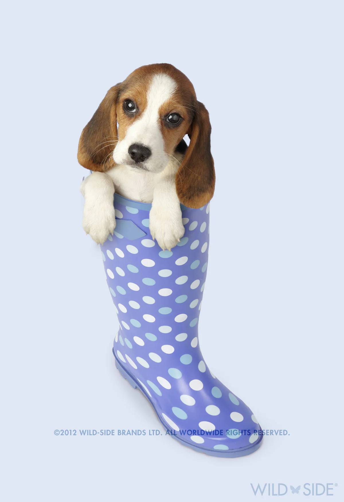 Collection: Assorted Animals Code: WS-DG-0409-B