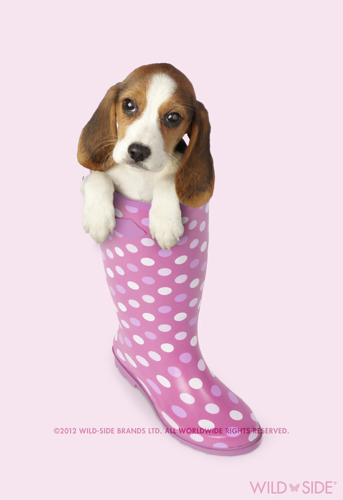 Collection: Assorted Animals Code: WS-DG-0409-P