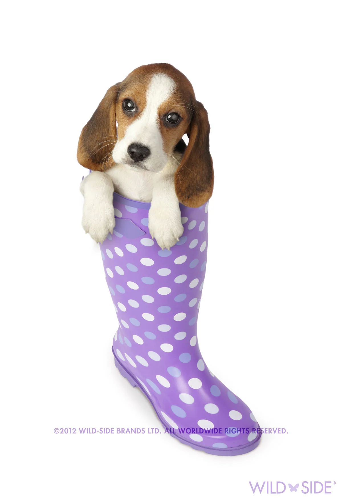 Collection: Assorted Animals Code: WS-DG-0409-W