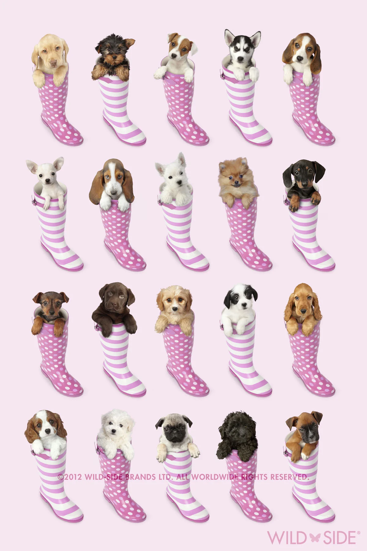 Collection: Assorted Animals Code: WS-DG-0401-P