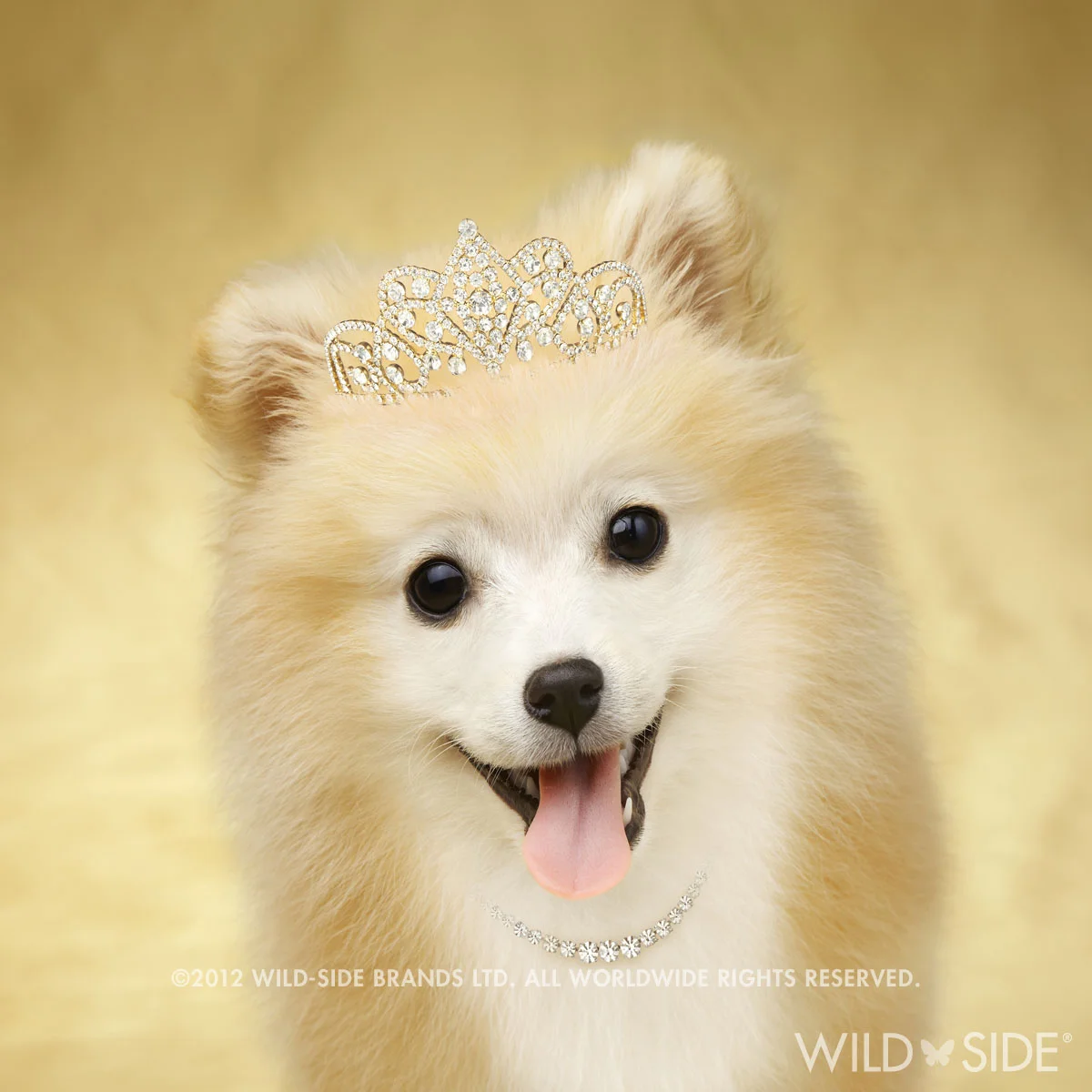 Collection: Assorted Animals Code: WS-LD-0101