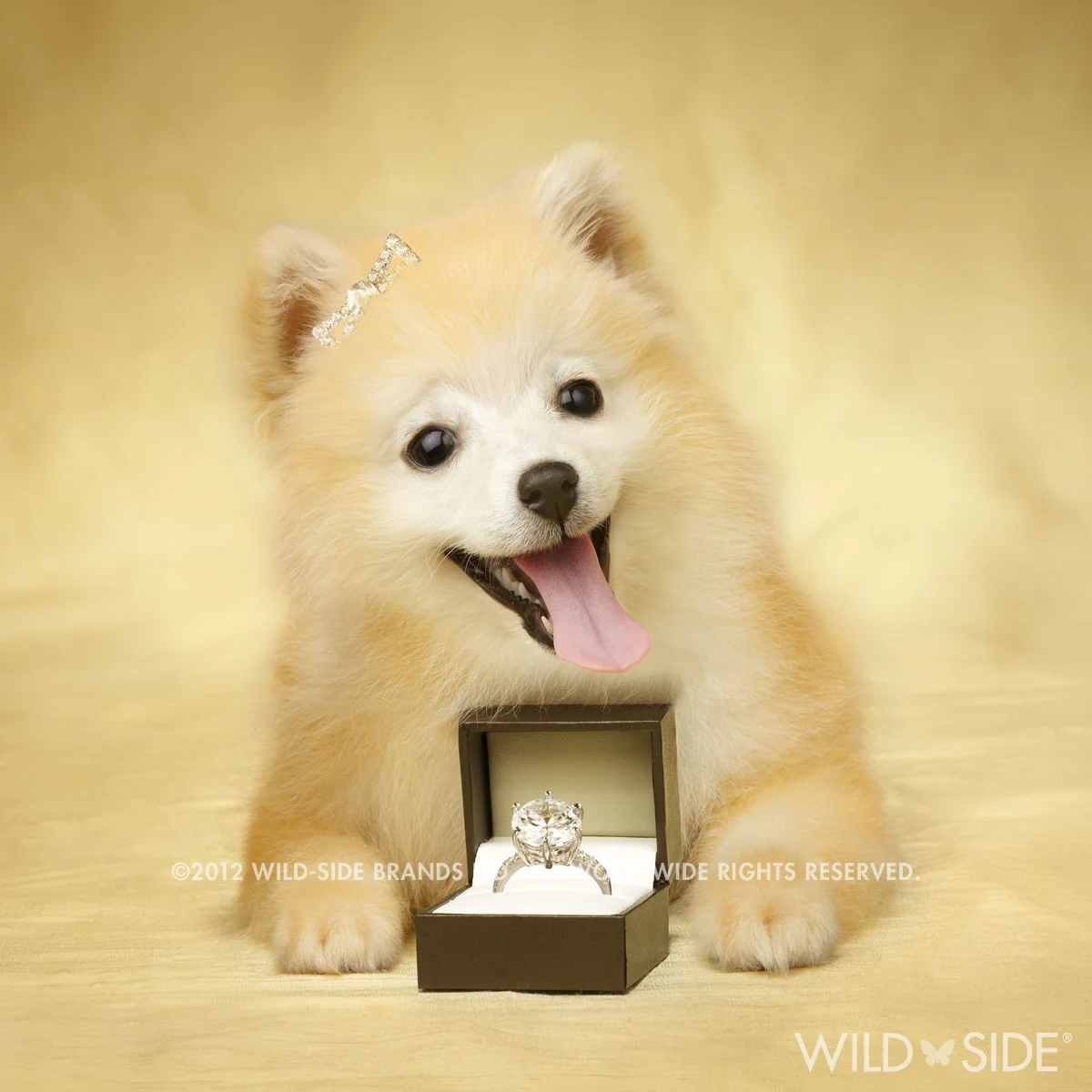 Collection: Assorted Animals Code: WS-LD-0105