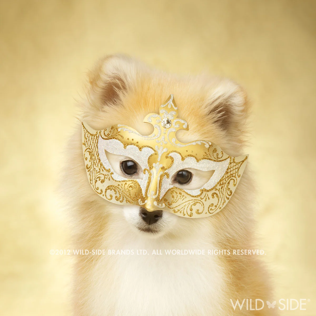 Collection: Assorted Animals Code: WS-LD-0111